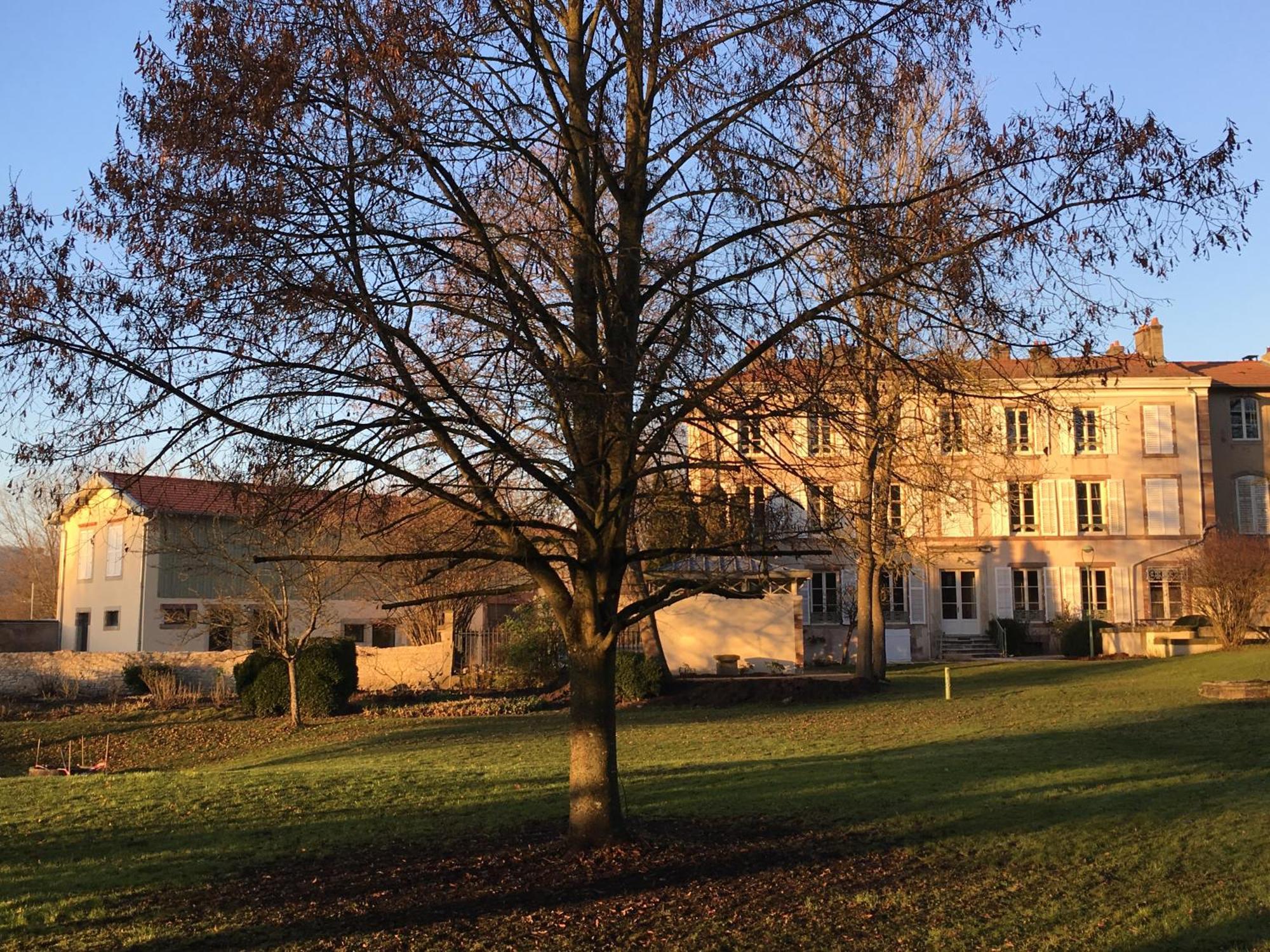Chambres D'Hotes Le Domaine De Stanislas Люневіль Екстер'єр фото